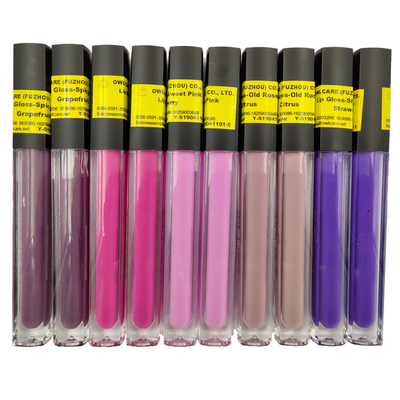 OEM/ODM Makeup Waterproof Fashion Colorful Lip Gloss